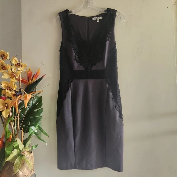 Jennifer Lopez | Dresses | Jennifer Lopez Black Lace Vneck Sleeveless Size  4 Euc Gray Dress | Poshmark